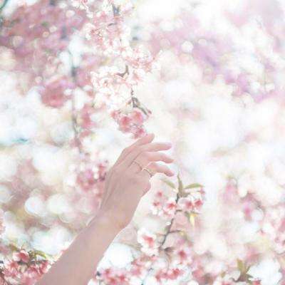 完美娱乐官网下载